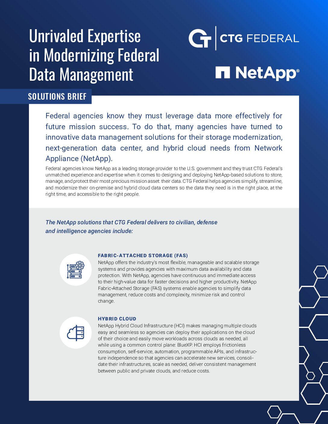 NetApp Solutions Brief: Unrivaled Expertise in Modernizing Federal Data Management
