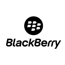 Blackberry Partner Logo