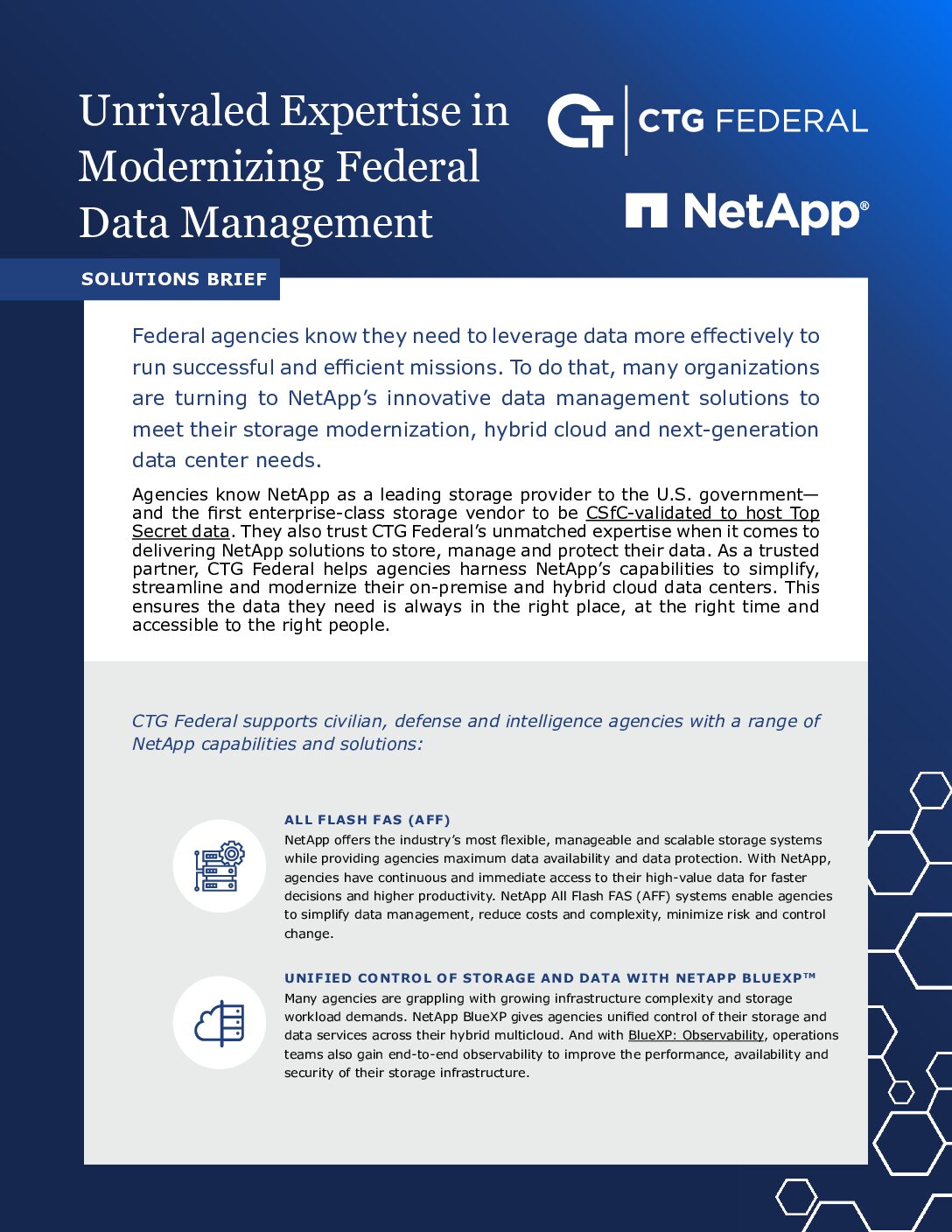NetApp Solutions Brief: Unrivaled Expertise in Modernizing Federal Data Management